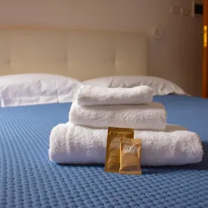 oasi-san-francesco-roma.it-romehotels.com/